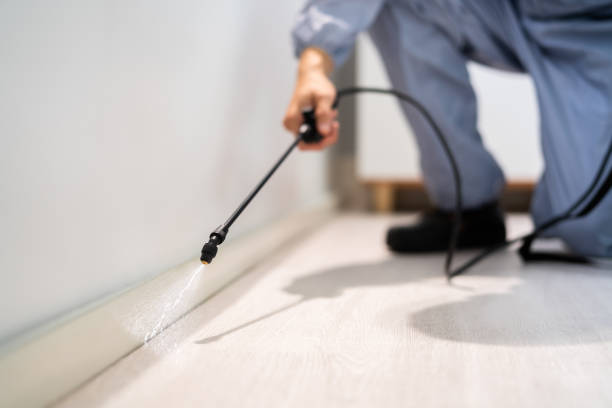Licensed Termite Control service in Lexington, IL - Nex Pest Control