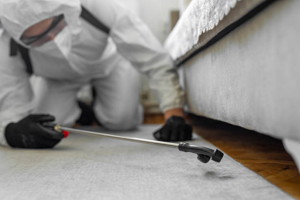 Professional Termite Control technician working in Lexington, IL
