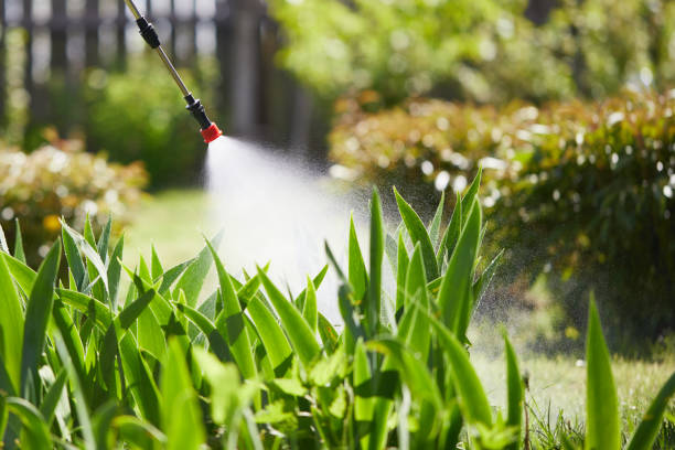 24/7 Emergency Termite Control experts in Lexington, IL