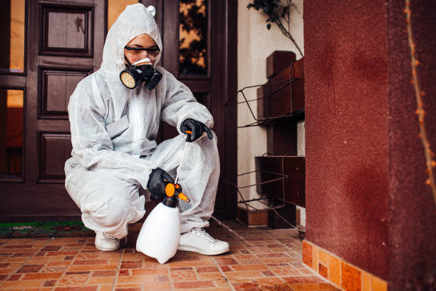 Reliable Termite Control contractor in Lexington, IL by Nex Pest Control