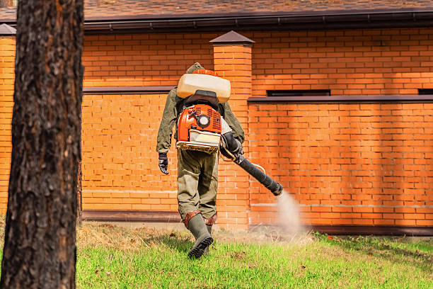 Top rated local Termite Control specialists in Lexington, IL